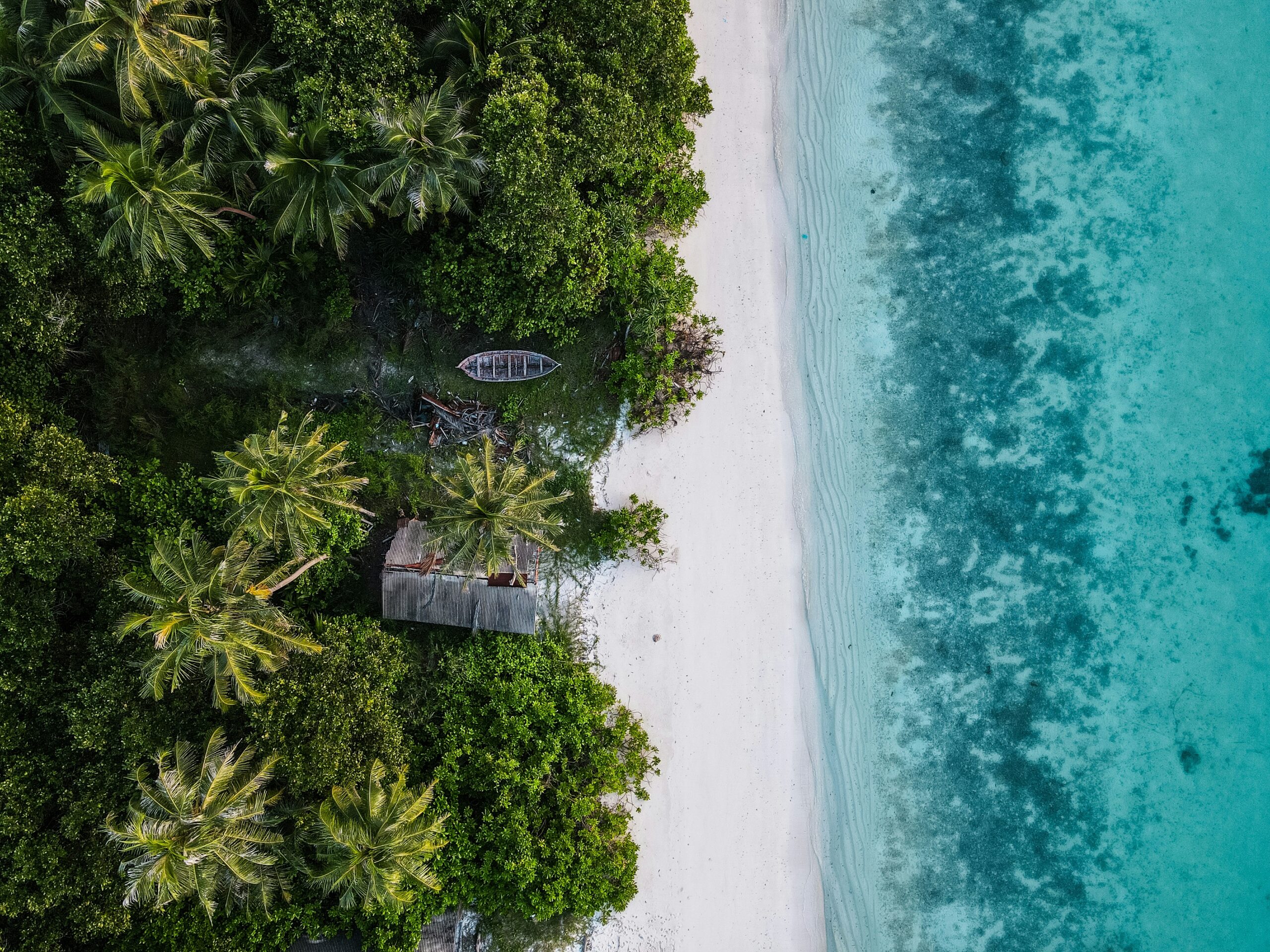 arif-rasheed-Hu8ziyxzedY-unsplash