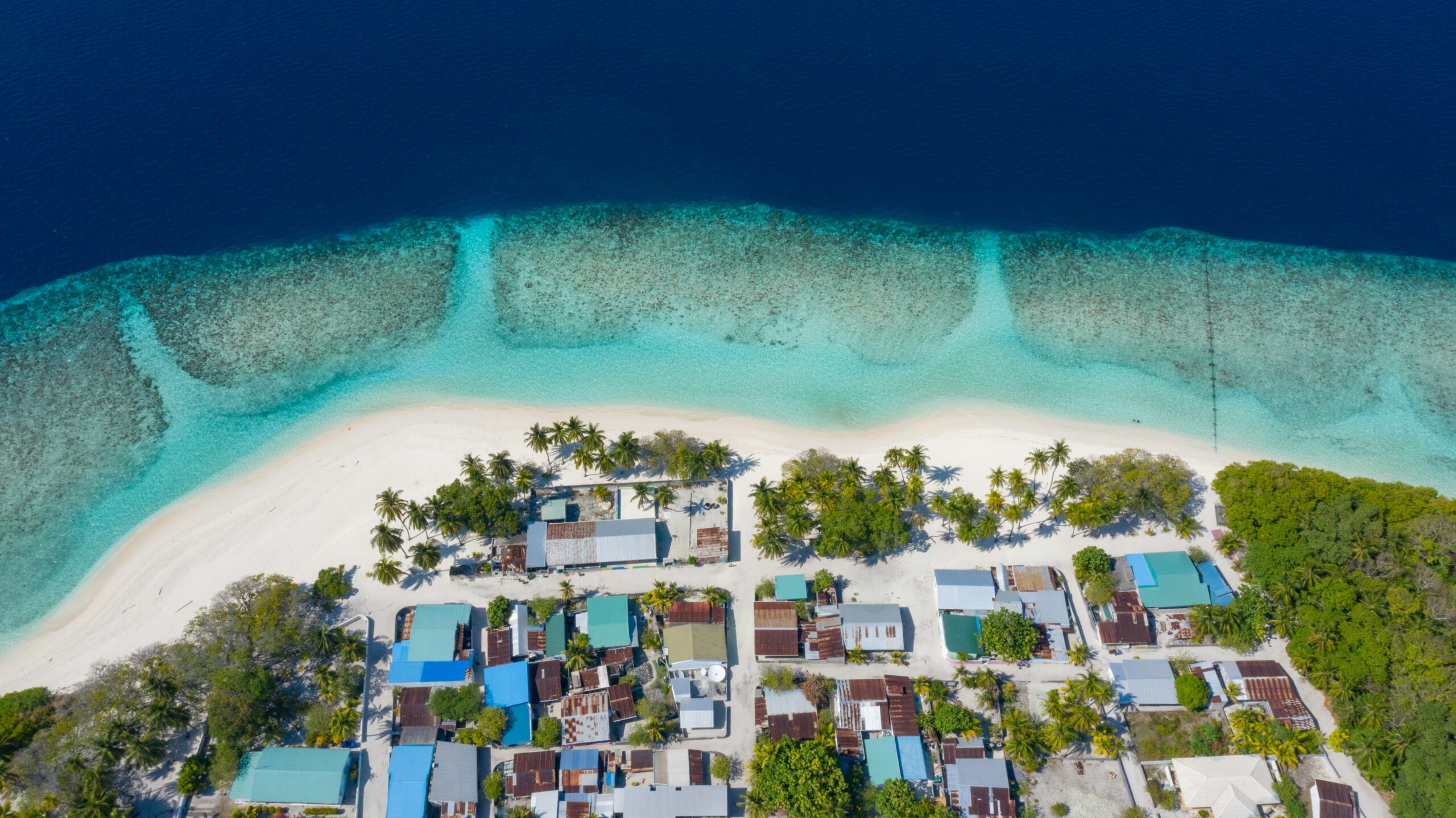 matheen-faiz-3ssF8fhmQhE-unsplash