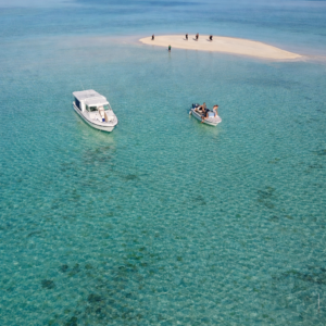 Swim with Ocean Giants in Mahibadhoo