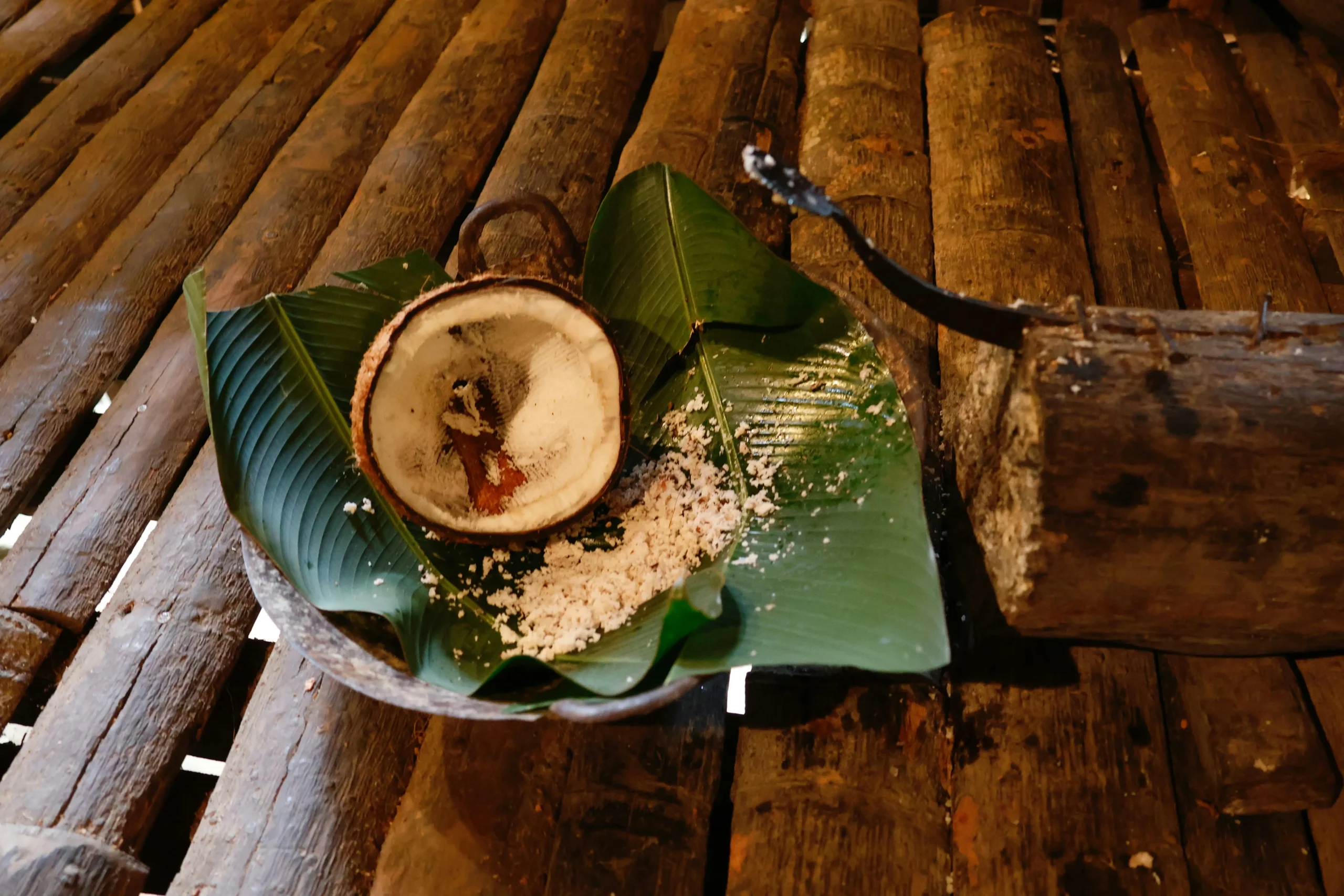 you-le-sYsr1AJfur0-unsplash